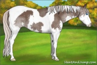 Horse Color:Silver Black Splash Tobiano