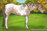 Horse Color:Black Pearl Tobiano 