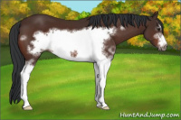 Horse Color:White Spotted Brown Frame 