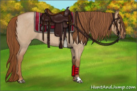 Horse Color:Red Dun Roan 