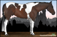 Horse Color:Brown Tobiano 