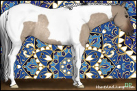 Horse Color:Brown Dun Tobiano Rabicano