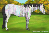 Horse Color:Black Ice 