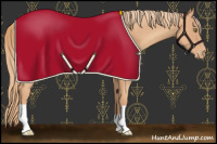 Horse Color:Gold Champagne Appaloosa