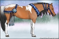 Horse Color:Bay Tobiano 