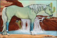 Horse Color:Gray Watercolor Silver Bay Dun
