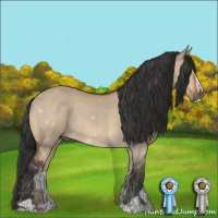 Horse Color:Bay Dun Sabino 