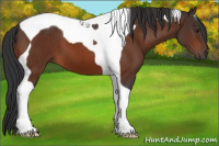 Horse Color:Brown Tobiano 
