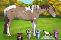 Horse Color:Classic Champagne Tobiano Rabicano