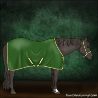 Horse Color:Smoky Black 