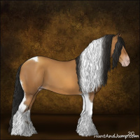 Horse Color:Gray Amber Champagne Tobiano 