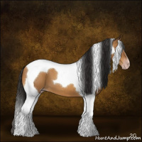 Horse Color:Gray Amber Champagne Tobiano