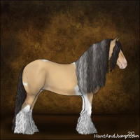 Horse Color:Gray Amber Champagne Dun Tobiano 