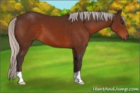 Horse Color:Silver Brown