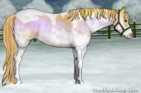 Horse Color:Painted Watercolor Chocolate Palomino Onyx Splash Tobiano Rabicano