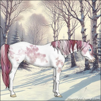 Horse Color:Watercolor Plaid  White Spotted Liver Red Dun Splash Tobiano 