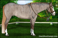 Horse Color:Liver Red Dun Roan Splash Brindle 