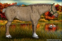 Horse Color:Chocolate Palomino Dun Sabino Rabicano Brindle 