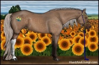 Horse Color:Silver Brown Dun