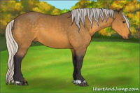 Horse Color:Silver Buckskin 