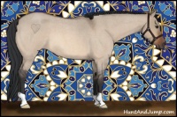 Horse Color:Bay Roan Dun 