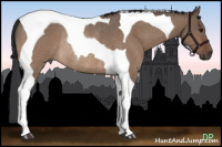 Horse Color:Brown Roan Dun Tobiano Rabicano