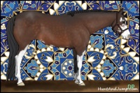 Horse Color:Brown Sabino
