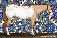 Horse Color:Buckskin Dun Frame Appaloosa Rabicano