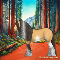 Horse Color:White Spotted Buckskin 