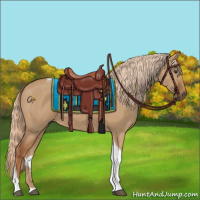 Horse Color:Red Dun Tobiano 