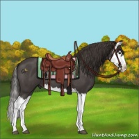 Horse Color:Smoky Blue Roan Splash 