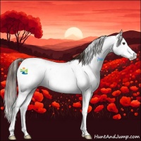 Horse Color:Liver Chestnut Sabino Near Leopard Rabicano 