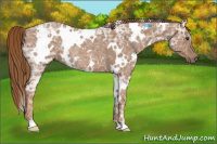 Horse Color:White Spotted Red Ice Roan Rabicano