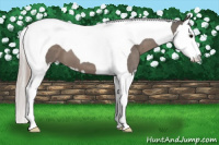 Horse Color:Silver Black Splash Tobiano 