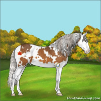 Horse Color:White Spotted Silver Buckskin Splash 