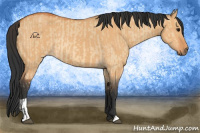 Horse Color:Bay Dun  and Bay Dun 