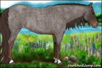 Horse Color:Liver Red Roan Varnish Rabicano