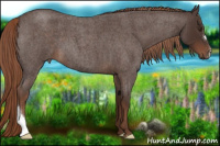 Horse Color:Liver Red Roan 
