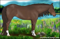 Horse Color:Liver Chestnut