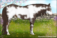 Horse Color:Liver Chestnut Frame 
