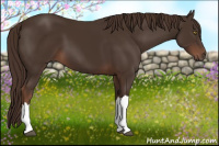 Horse Color:Liver Chestnut 