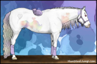 Horse Color:Nacre Silver Bay Chinchilla Splash Tobiano