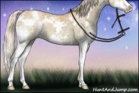 Horse Color:Watercolor White Spotted Cremello Ice Sabino Splash 