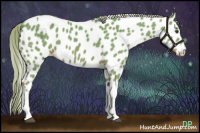Horse Color:Watercolor Chocolate Palomino Tobiano Appaloosa