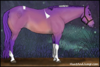 Horse Color:Watercolor Bay Tobiano 