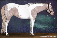 Horse Color:Watercolor Chestnut Ice Tobiano 