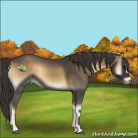 Horse Color:Smoky Blue Onyx 