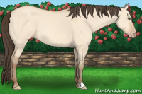 Horse Color:Amber Champagne Dun 
