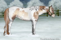 Horse Color:White Spotted Liver Red Onyx Pearl Tobiano 