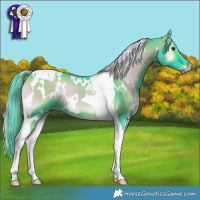 Horse Color:Watercolor White Spotted Liver Red Onyx Tobiano